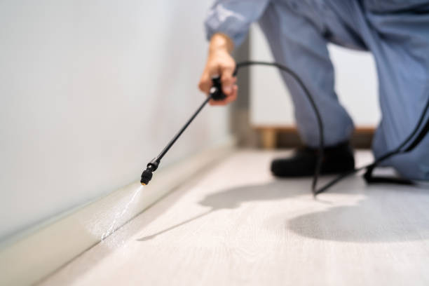 Professional exterminator conducting IPM assessment in Eaton